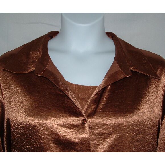 SUSAN GRAVER Bronze Plus Sz 2X Stretchy Lacy Cami & Tunic Shirt 2 pc Set NEW NWT - Picture 2 of 8